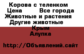 Корова с теленком › Цена ­ 69 - Все города Животные и растения » Другие животные   . Крым,Алупка